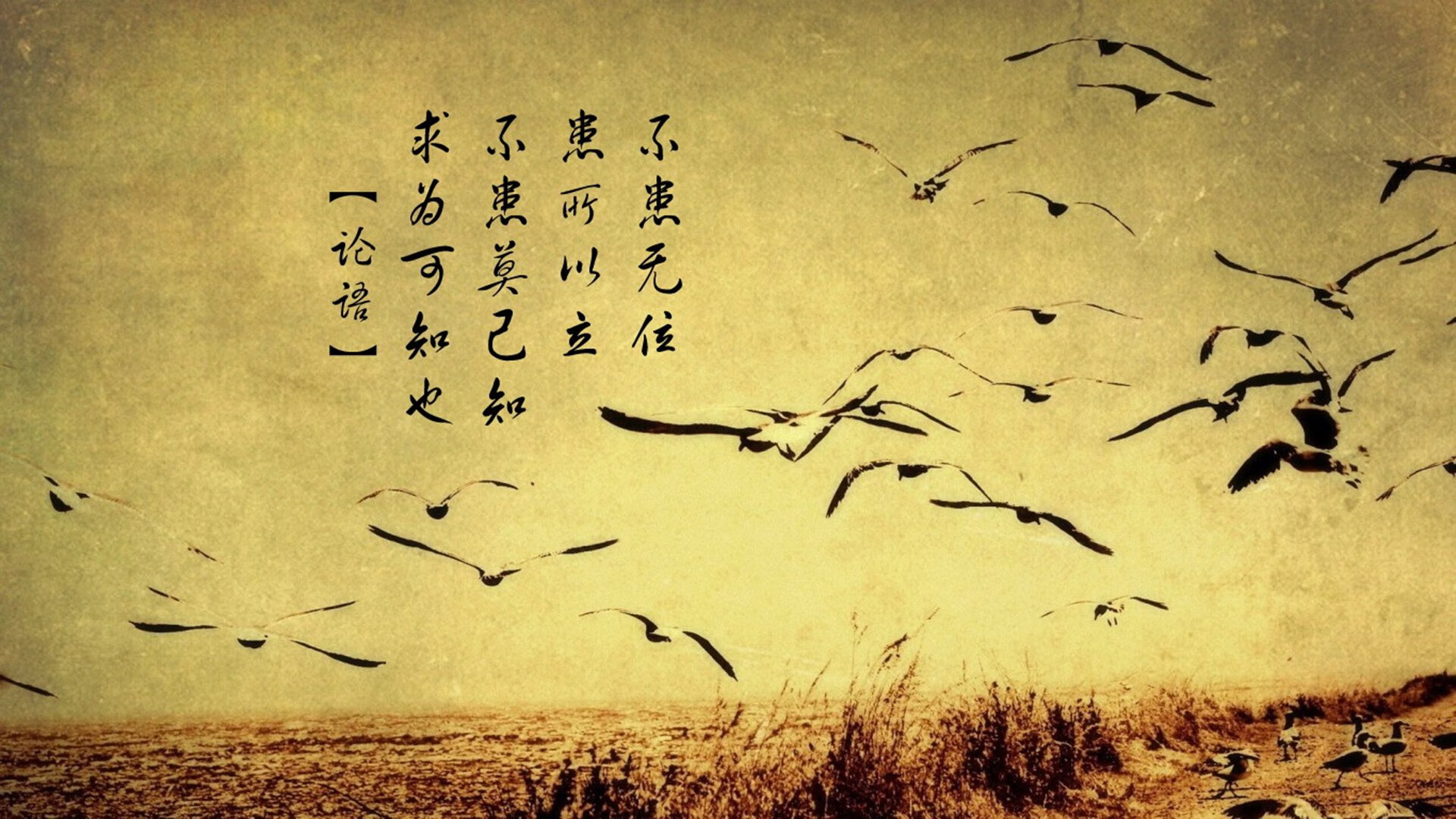 格林连续封堵！，格林mf