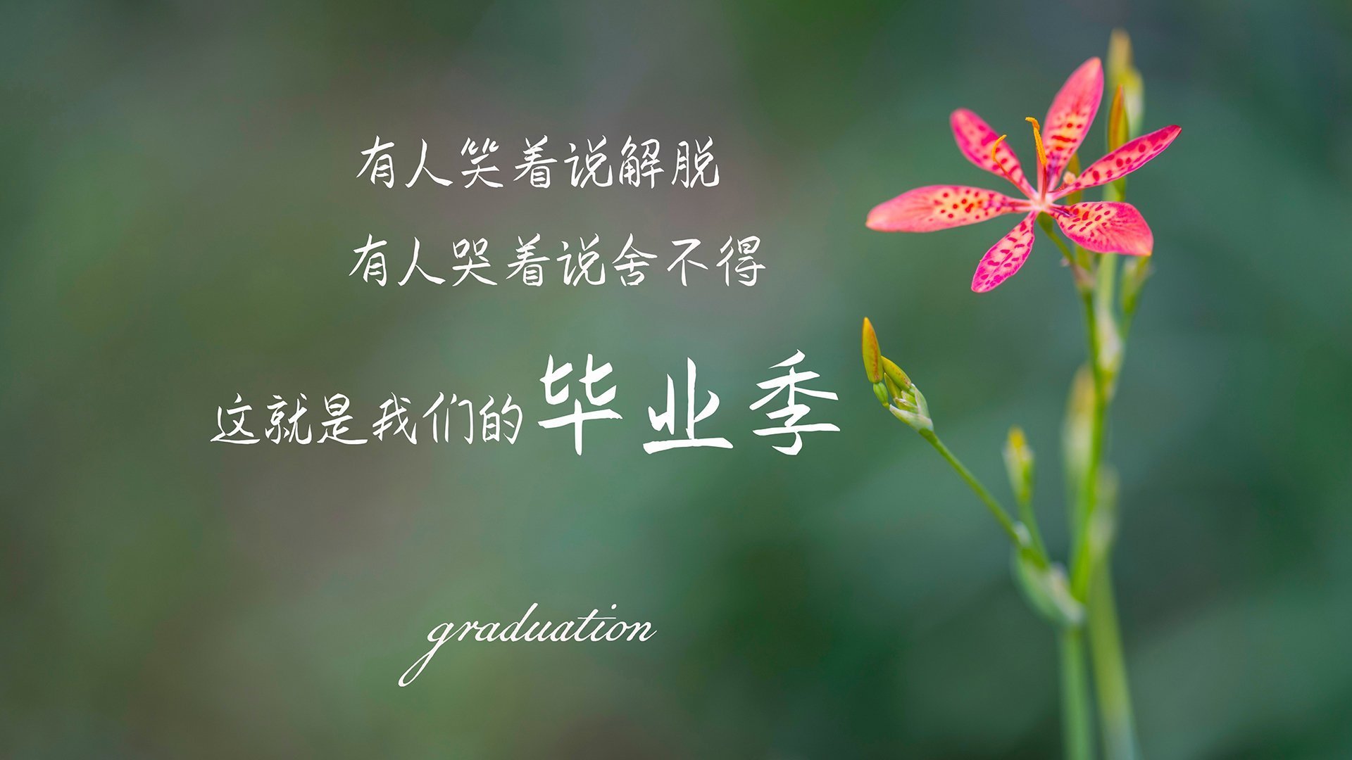 2025足球世俱杯官网-亚洲男子篮球锦标赛上，印度和台湾队激战正酣，青年力量崭露头角