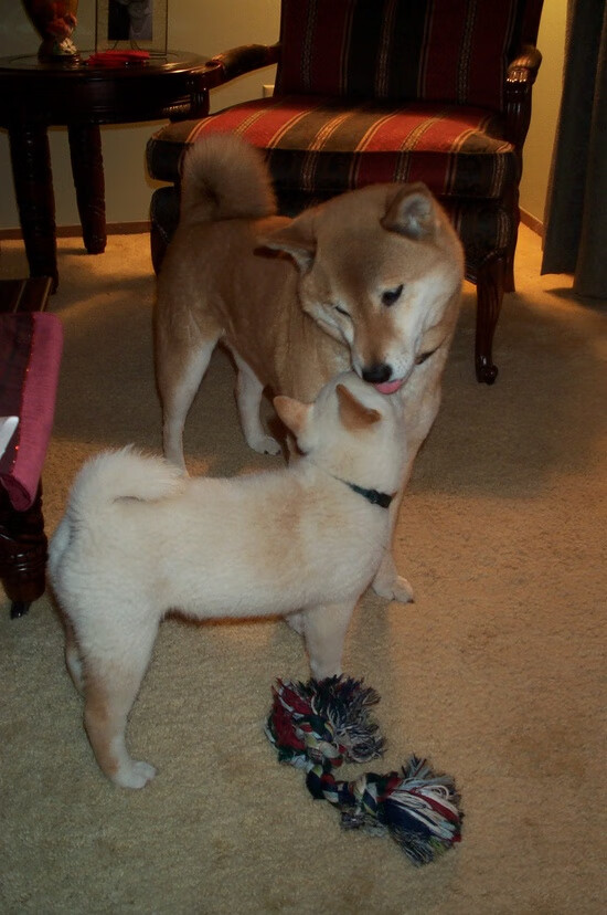 2025世俱杯赛程-莫莉·奥卡拉汉决赛发挥超出预期，莫利卡拉汉