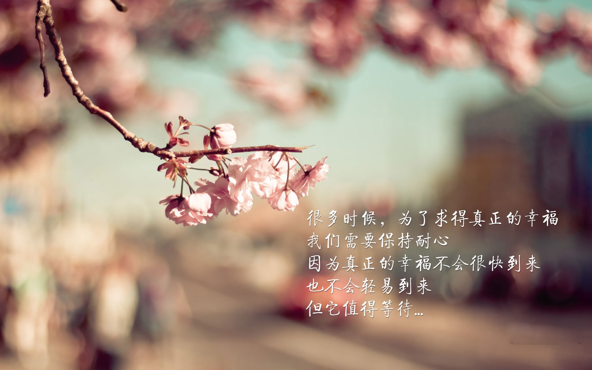 俱乐部冠军杯官网-西甲激情冲刺：攻守转换，火花四溅！，西甲sporting