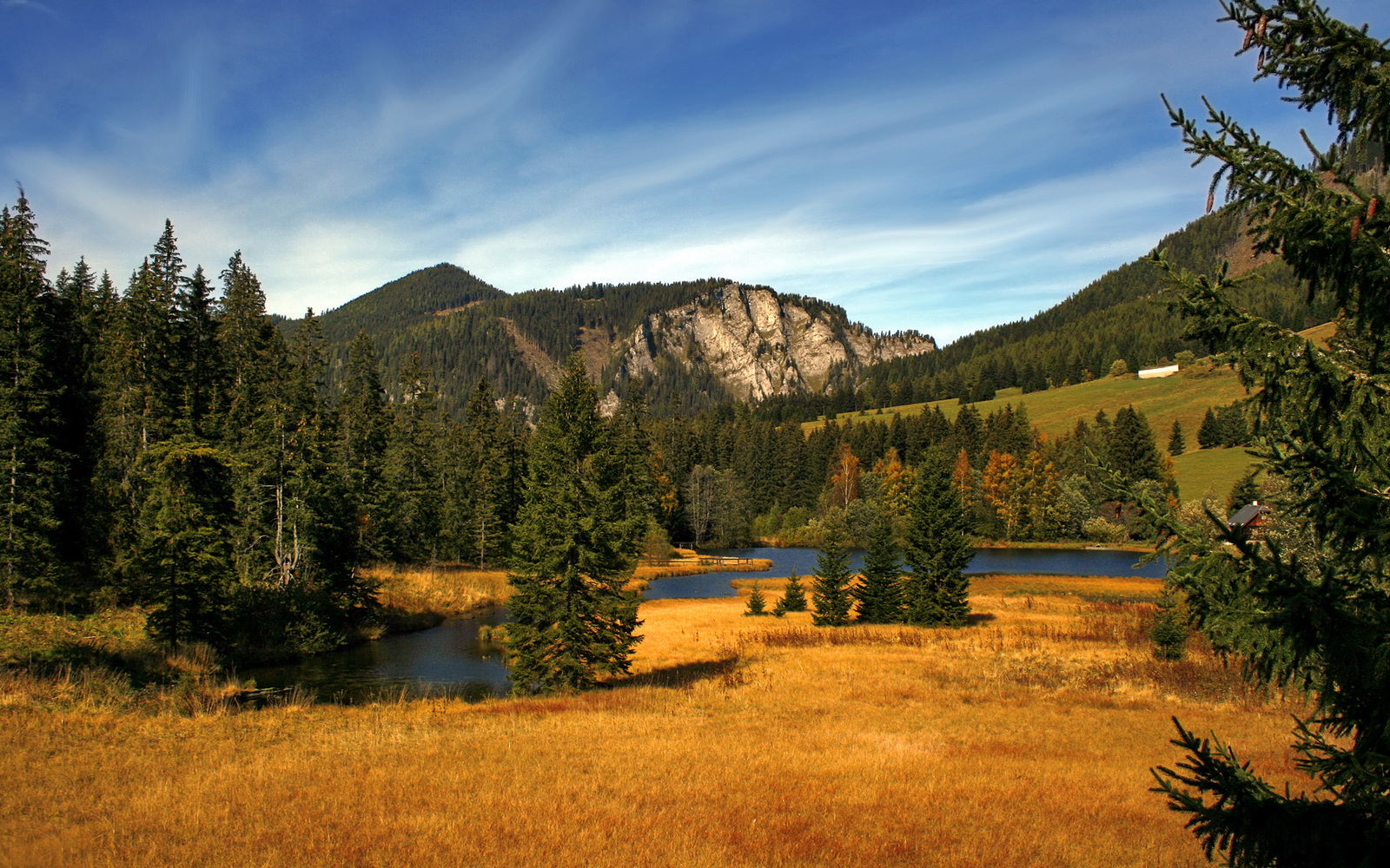 黎巴嫩男篮在西亚锦标赛中奋勇直追，冲击奥运入场资格，男篮黎巴嫩冲突视频